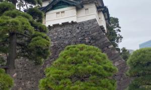 Daijogu_3